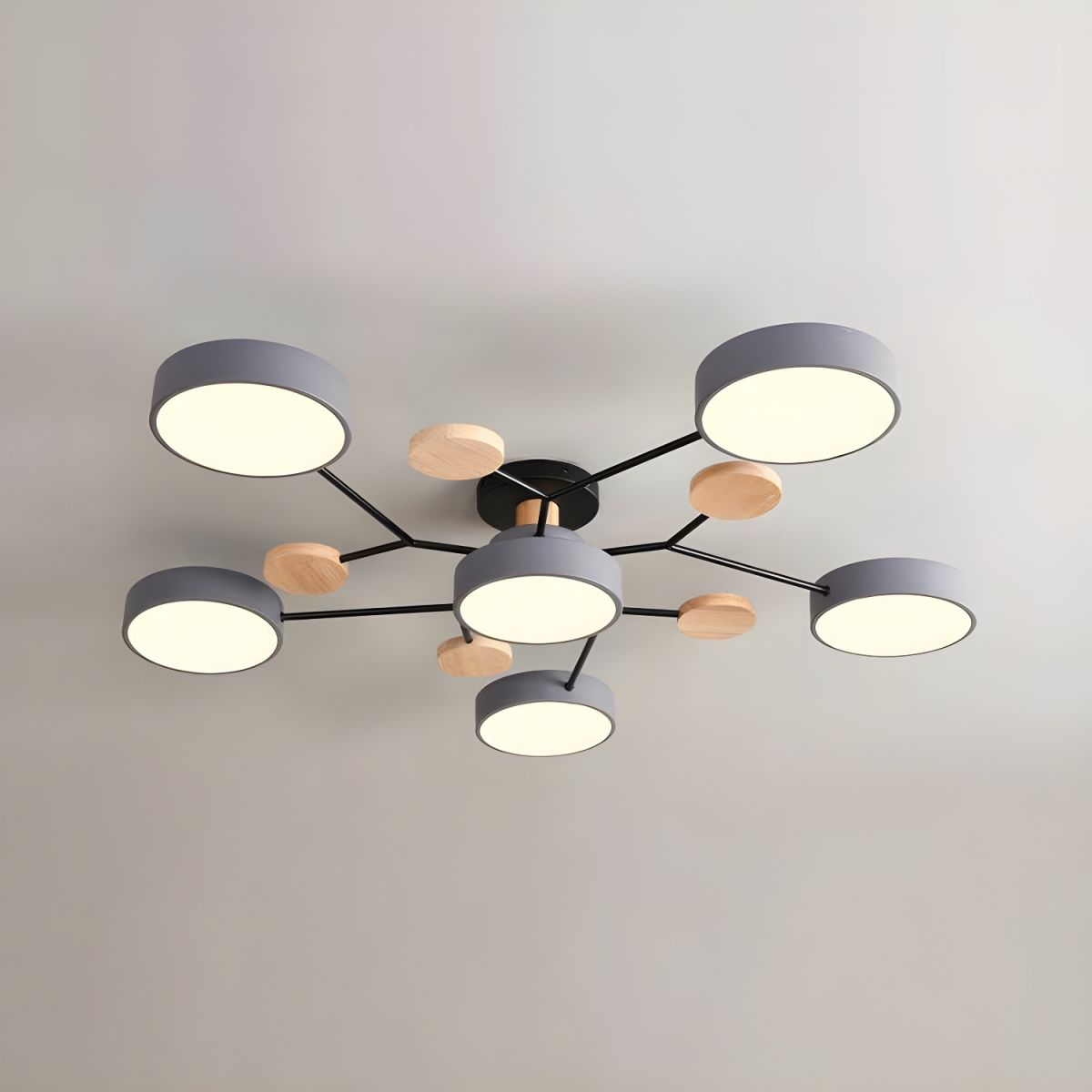 Laudovo™ Modern Circular Living Room LED Ceiling Light