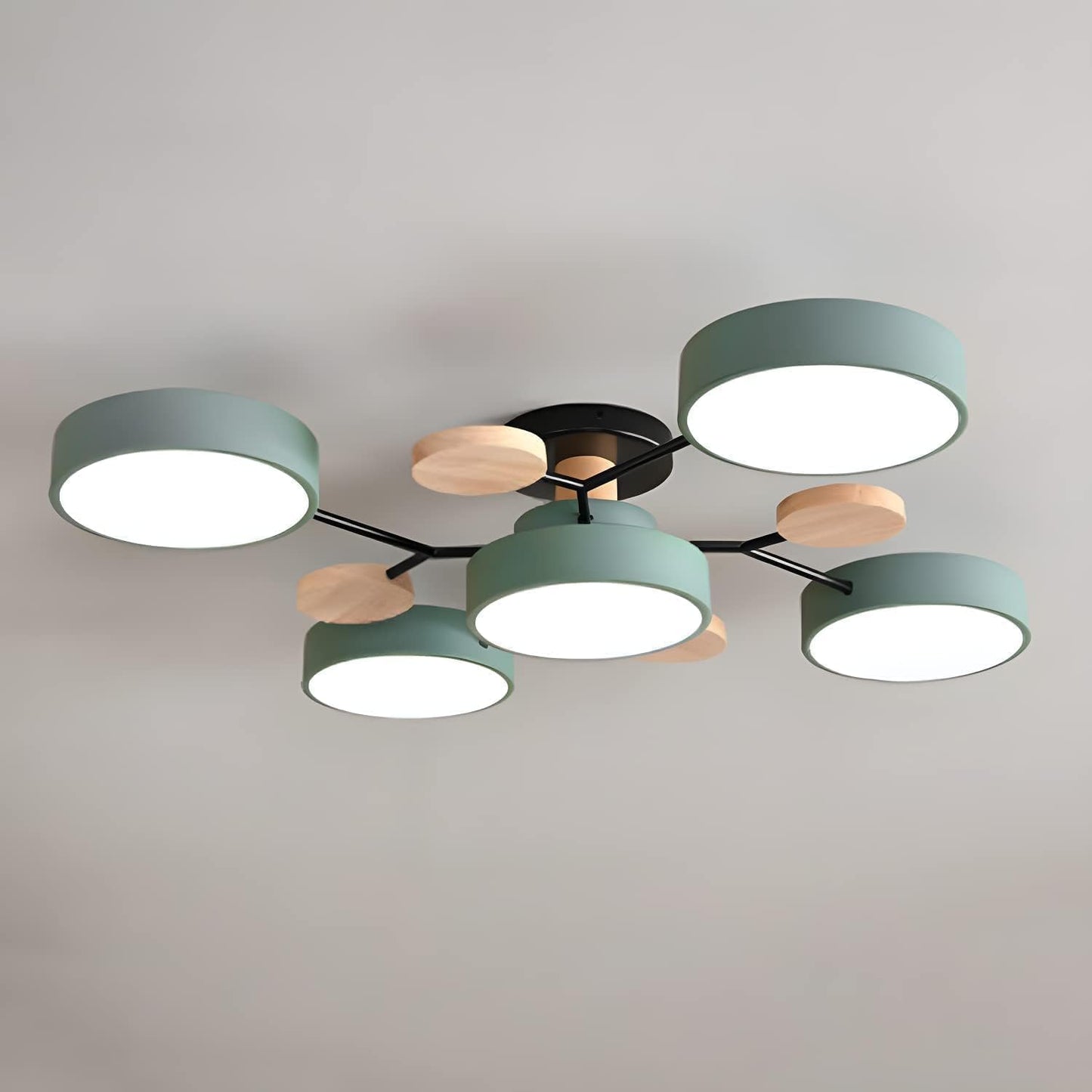 Laudovo™ Modern Circular Living Room LED Ceiling Light