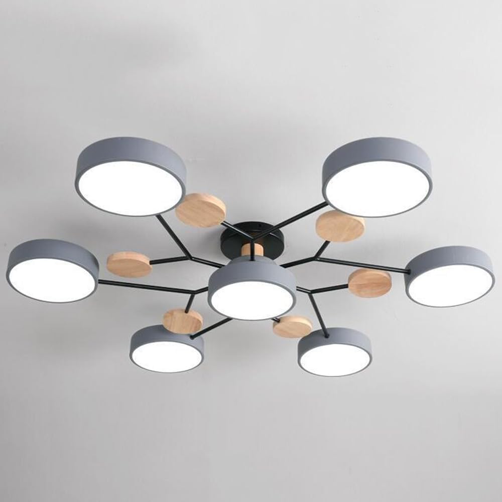 Laudovo™ Modern Circular Living Room LED Ceiling Light