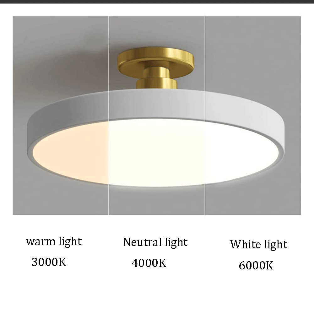 Laudovo™ Modern Concise Circular LED Semi Flush Mount Ceiling Light