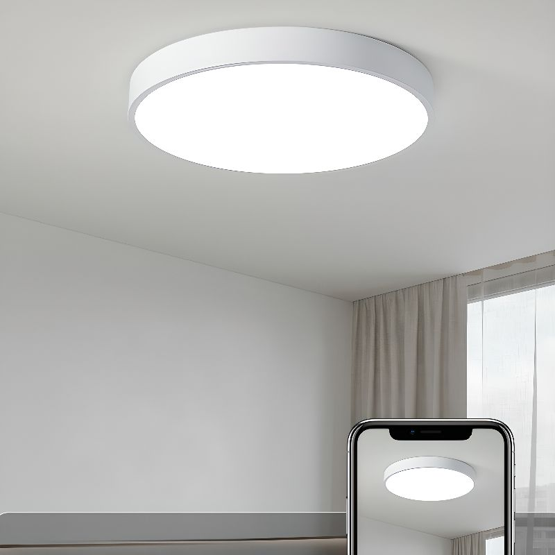 Laudovo™ Flush Mount LED Ceiling Lights