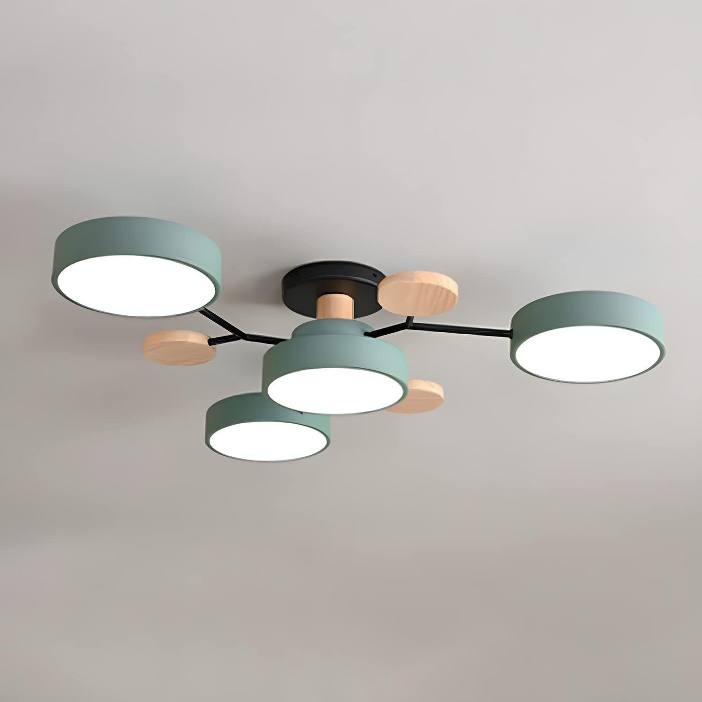 Laudovo™ Modern Circular Living Room LED Ceiling Light